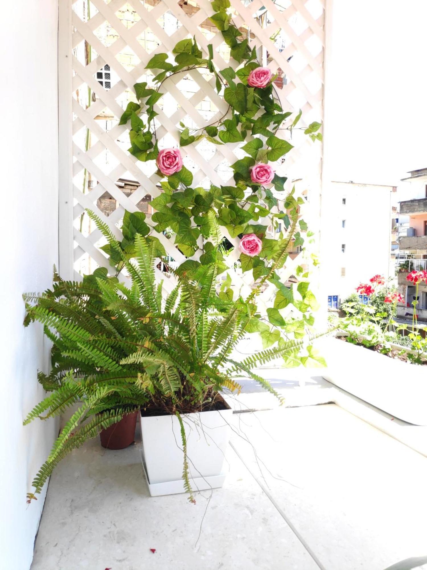 Apartment Te Amantia